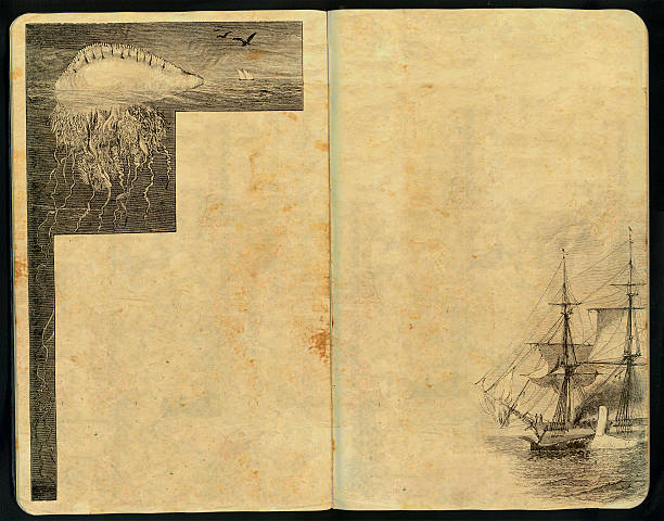 istock Portuguese man-of-war Sketch Pad 173003040