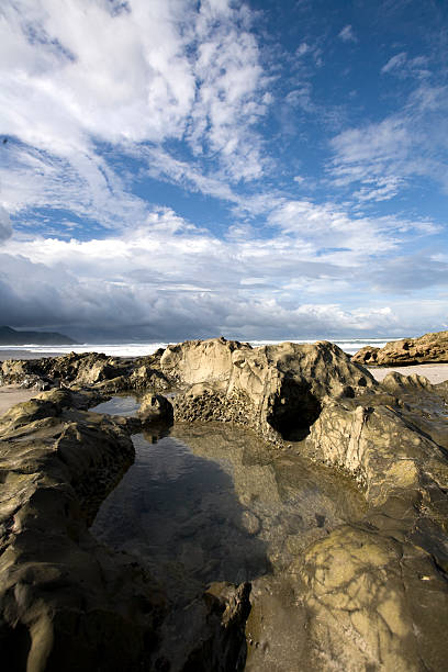 Tidal Pool stock photo