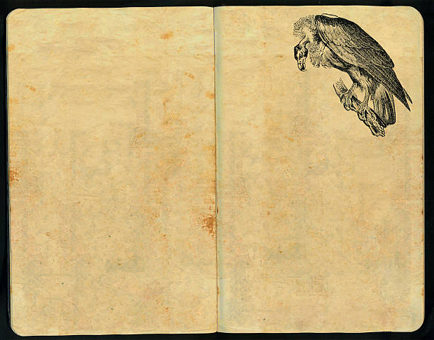 abutre caderno de esboços - anatomy sketch pad retro revival old imagens e fotografias de stock