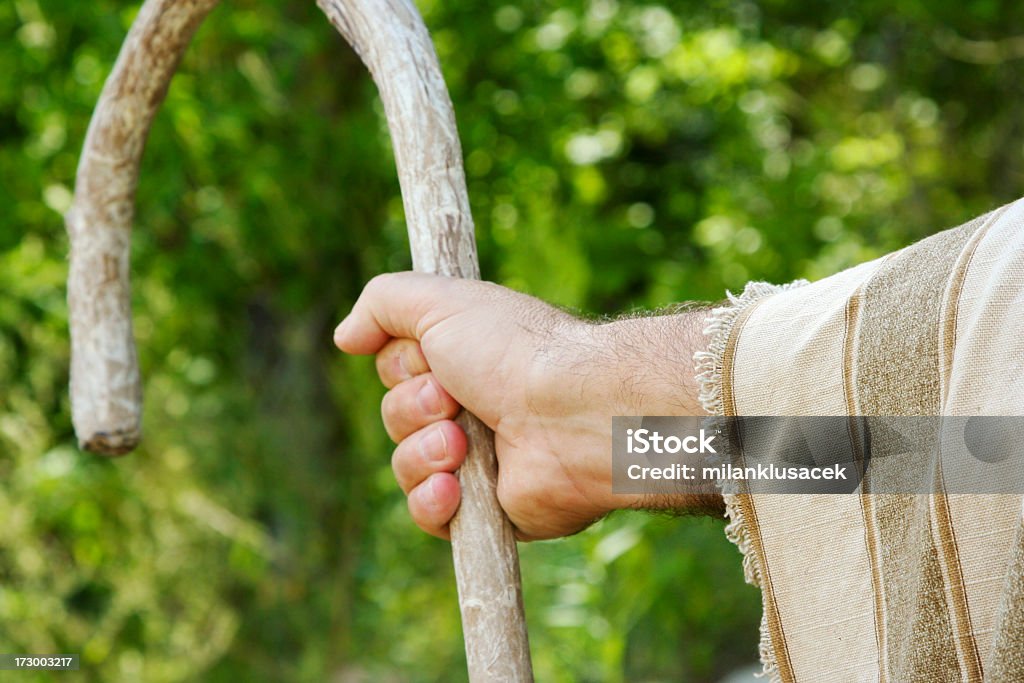 Pastor de Ovelhas - Royalty-free Igreja do Bom Pastor - Tekapo Foto de stock