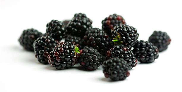 Bunch of blackberries on white background stock photo