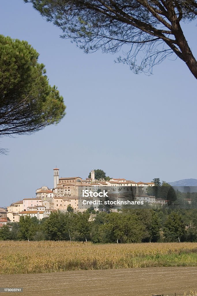 Monterchi Toscana - Foto stock royalty-free di Albero
