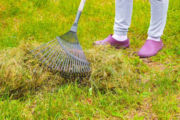 istock gardener collecting dry grass with a rake. 1730040210