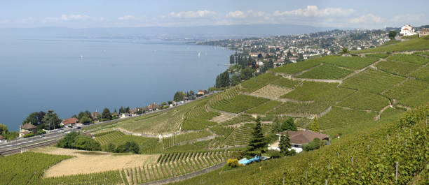 istock The Riviera Vaudoise on Lausanne side 173004210