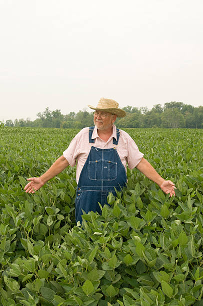 istock Thankful for soy crop 173004283