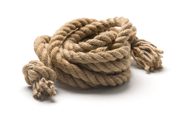 istock Close-up of twisted rope with white backdrop 173004592
