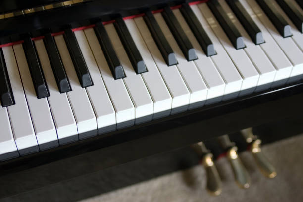 istock Piano Keyboard and pedals 173004633