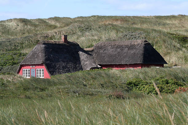istock Amiable house in the dunes. 173004685