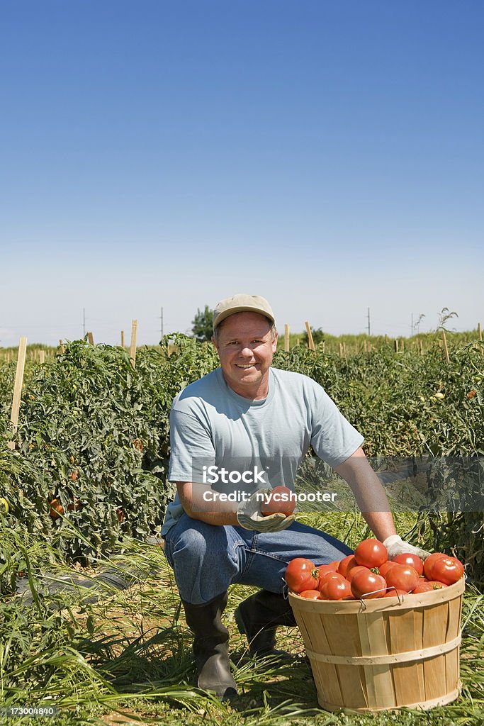 Agricoltore - Foto stock royalty-free di Adulto