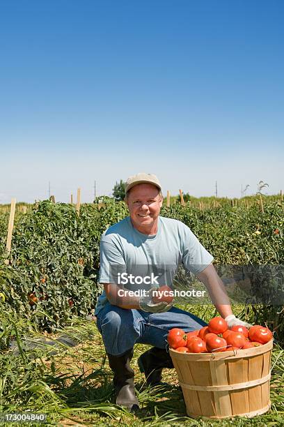 Farmer 개념에 대한 스톡 사진 및 기타 이미지 - 개념, 과일, 남성