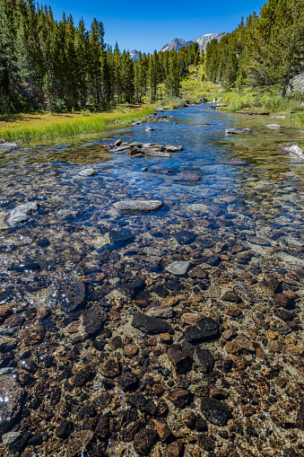 Rock Creek in the Little Lakes Valley of the John Muir Wilderness Area of the Sierra Nevada Mountains in California.