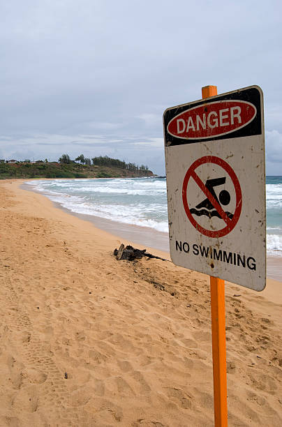 istock Beach Closed - No Swimming Sign 173005014