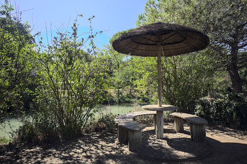 Table  and chairs with a parasol by the rivershore  in a forest on a sunny day