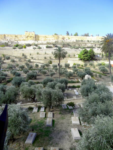 панорамный вид на старый город иерусалима. - el aqsa стоковые фото и изображения