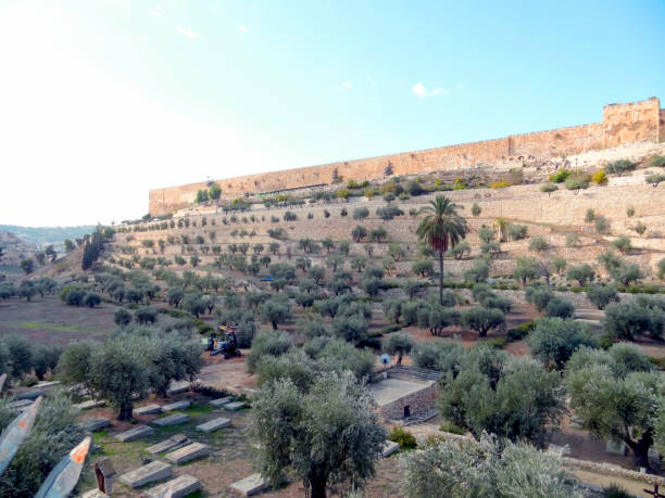 панорамный вид на старый город иерусалима. - el aqsa стоковые фото и изображения