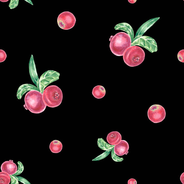 ilustrações, clipart, desenhos animados e ícones de padrão sem costura com lingonberry vermelho pintado à mão e folhas verdes. ilustração botânica em aquarela elemento isolado no fundo preto. arte para design de alimentos, logotipo, padrão, composição, papel de parede. bagas redondas - healthy eating summer berry branch