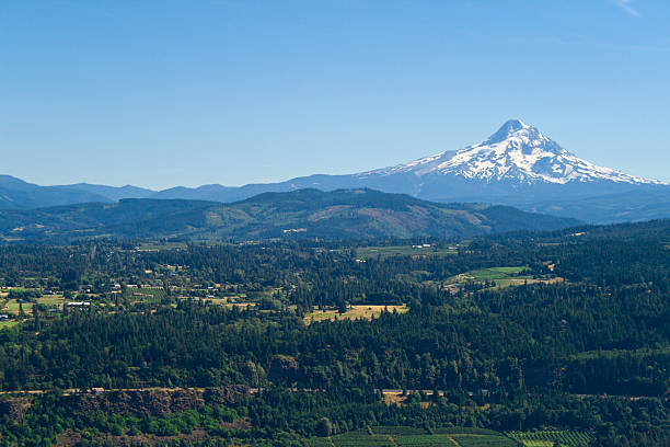 istock Hood of River 173005727