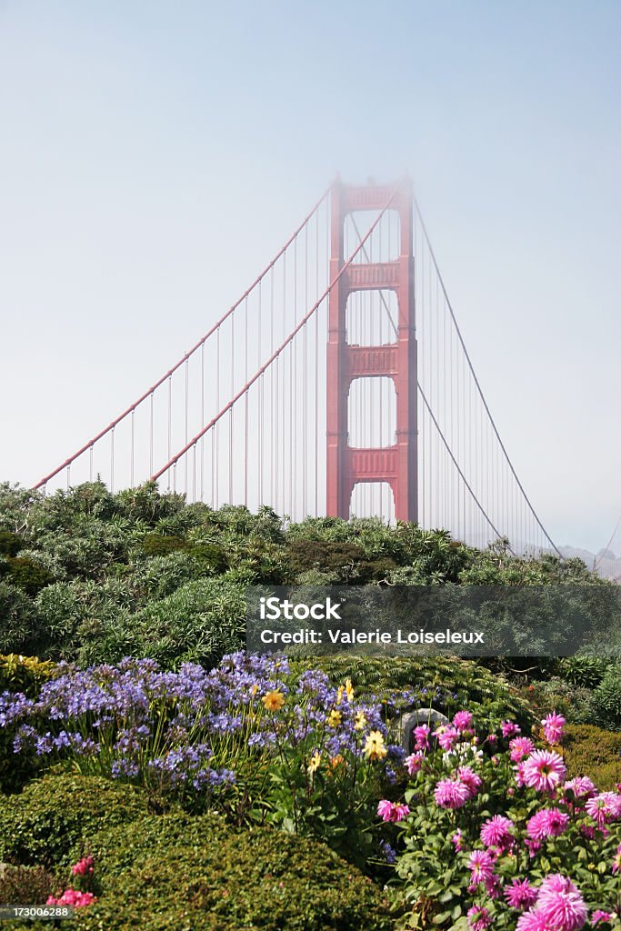 Ponte Golden Gate de flores - Foto de stock de Arquitetura royalty-free