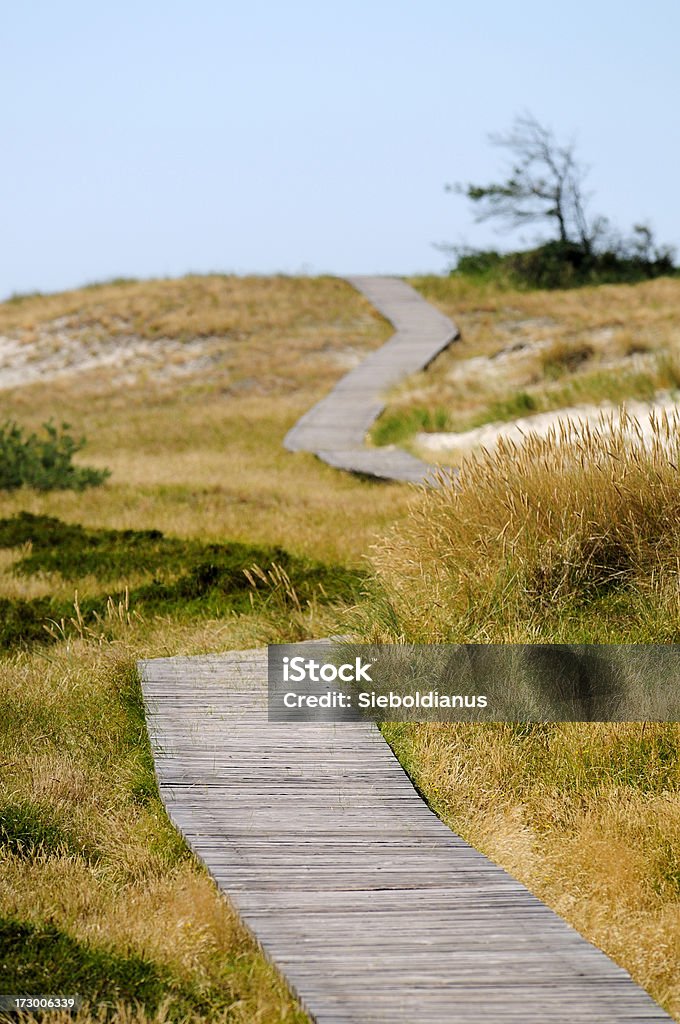 Empty wood path through natural preserve. Empty wood path through natural preserve at the Baltic Sea (Dar). Backgrounds Stock Photo