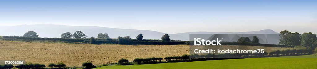 Gales - Foto de stock de Agricultura libre de derechos