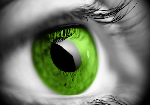 sharp and detail macro of green eye 