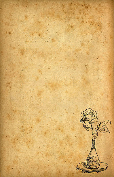 Lonely Rose Sketch Pad stock photo