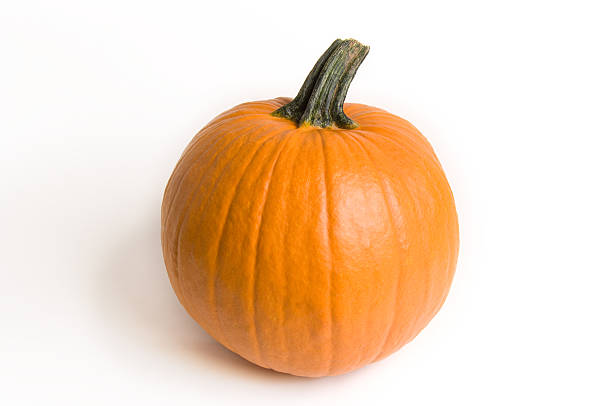 pumpkin stock photo