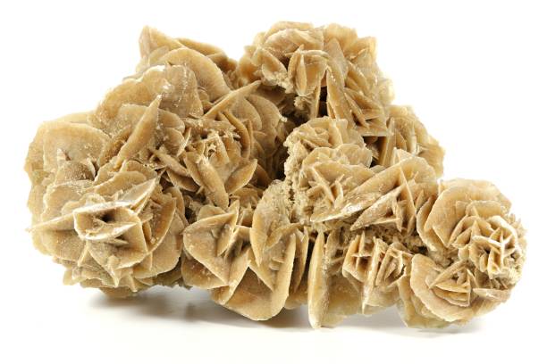 istock desert rose from Tunisia 1730070266