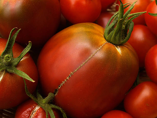 big pomodoro antico - heirloom tomato homegrown produce tomato organic foto e immagini stock