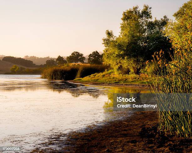 Turvo Dias De Verão - Fotografias de stock e mais imagens de Califórnia - Califórnia, San Jose - Califórnia, Ao Ar Livre