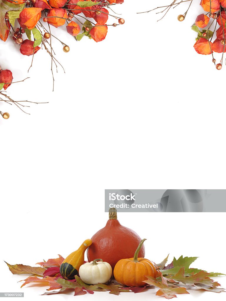 Thanksgiving concepto pequeña pumpkins con Hojas otoñales y twigs - Foto de stock de Día de Acción de Gracias libre de derechos