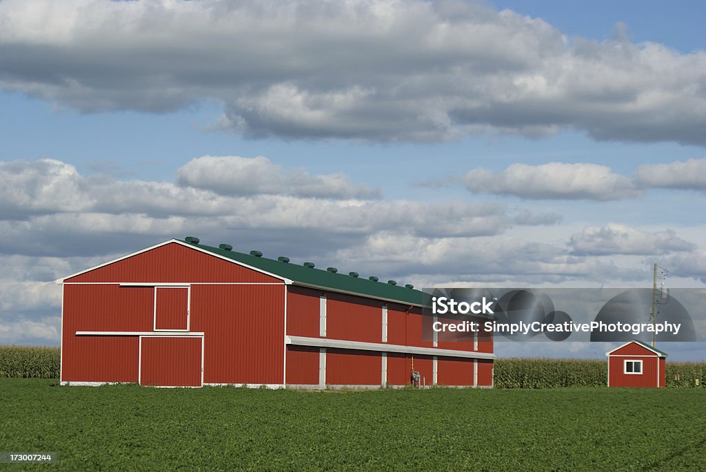 Rojo aves Barn y generador de la habitación - Foto de stock de Agricultura libre de derechos