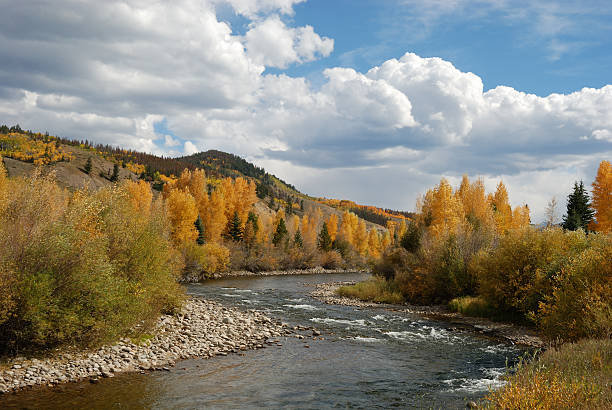 The Blue River "The Blue River flows through Silverthorne, Colorado in the fall.See my other Mountain Scenery Images!" summit county stock pictures, royalty-free photos & images