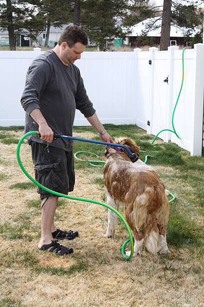 istock Man Washing Dog Outside 173007843