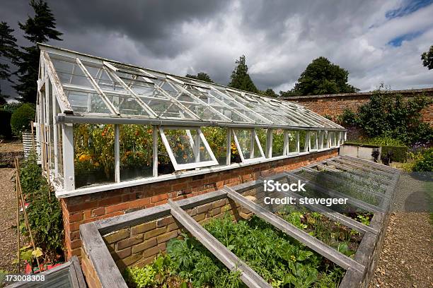 Gewächshaus Mit Tomaten Stockfoto und mehr Bilder von Frühbeet - Frühbeet, Gemüsegarten, Architektur