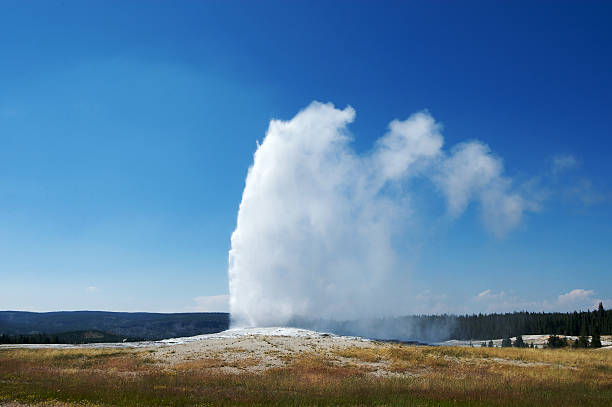 The most famous geyser at Yellowstone National Park erupts into a clear blue sky. Shot with Canon 1D Mark III.