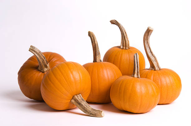 small pumpkins stock photo