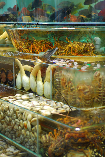 istock Sea food in water tank 173009385