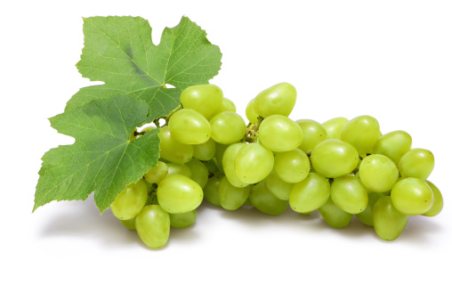 Close-up of a branch of grape vine with grapes cluster isolated on white with clipping path........................................................................................