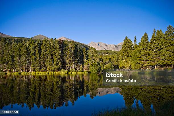 Jezioro Sprague - zdjęcia stockowe i więcej obrazów Bez ludzi - Bez ludzi, Drzewo, Fotografika