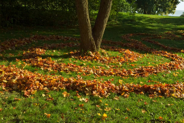 Swirling fallen leaves background, defocused.