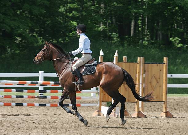 istock Horse and Rider on Jumping Course 173009681