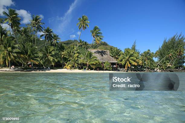 Praia Tropical - Fotografias de stock e mais imagens de Cena de tranquilidade - Cena de tranquilidade, Destino de Viagem, Fotografia - Imagem