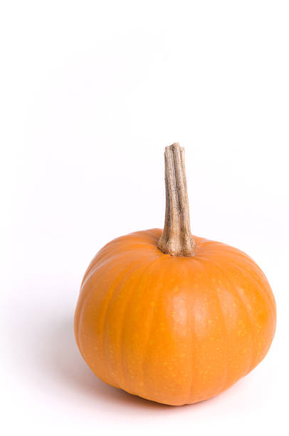 small pumpkin stock photo