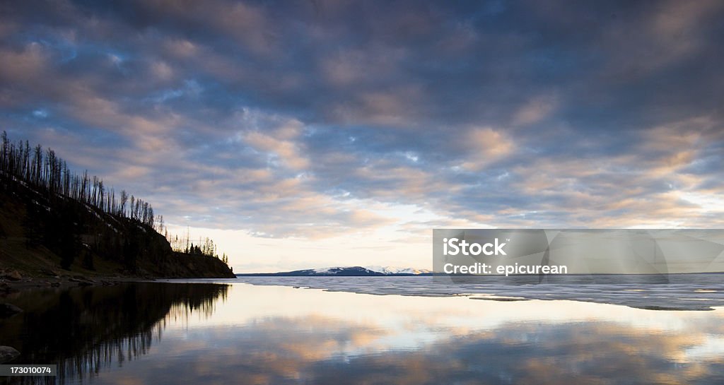 Reflections Sunset and reflections over Yellowstone Lake Beauty In Nature Stock Photo