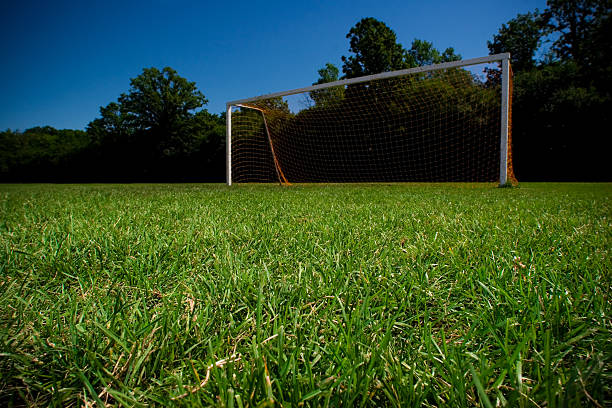 istock Football field- Soccer series 173010331