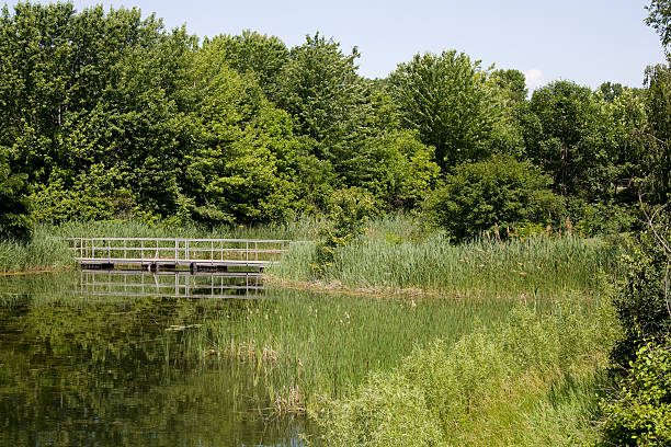 istock Park area in Montreal, Canada 173010418