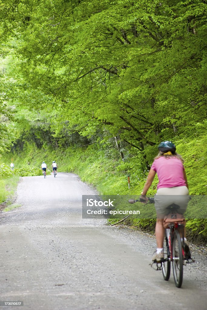 Balade en vélo, en famille - Photo de Arbre libre de droits