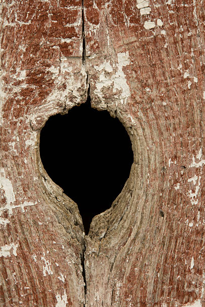 Distressed Wood with Knot stock photo
