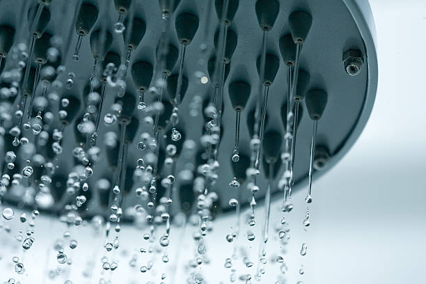 샤워꼭지 (가로 - shower bathroom shower head water 뉴스 사진 이미지